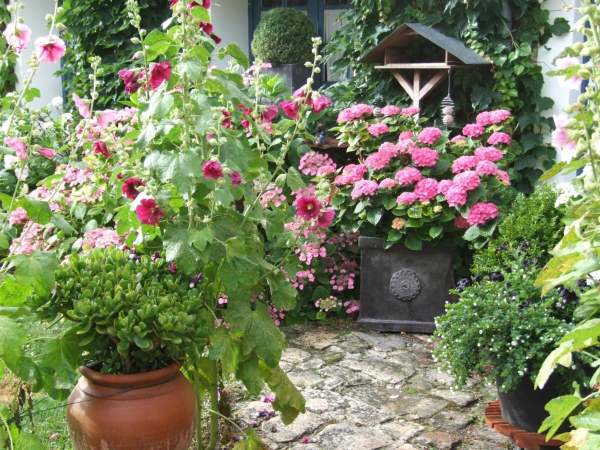 Les Glycines Bed & Breakfast Ury Eksteriør bilde