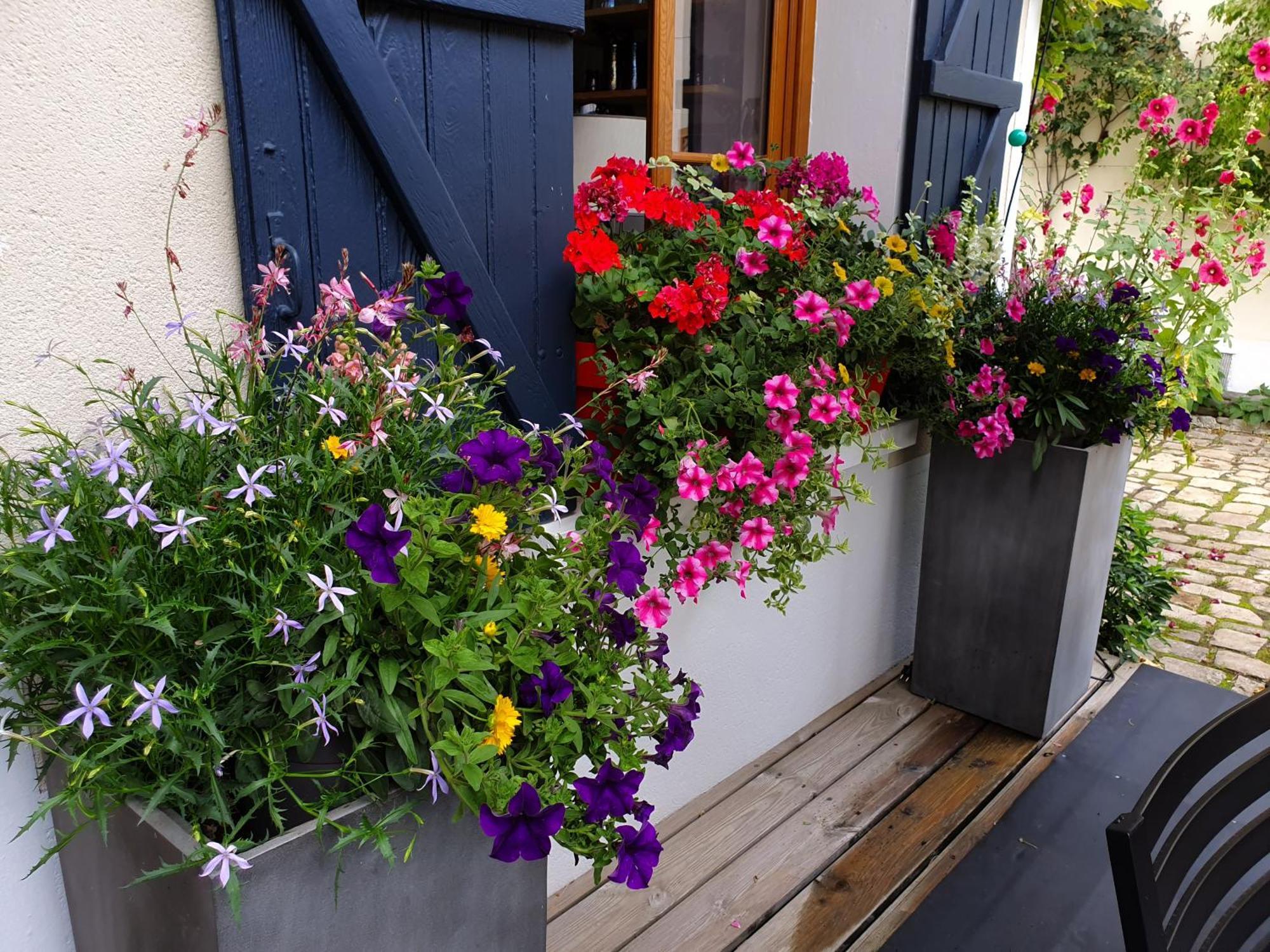 Les Glycines Bed & Breakfast Ury Eksteriør bilde